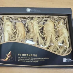 Nhân sâm tươi Hàn Quốc loại 1 nhập khẩu kg 5 củ