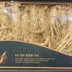 Nhân sâm tươi Hàn Quốc loại 1 nhập khẩu kg 8 củ