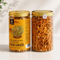 Nấm đông trùng hạ thảo sợi khô lọ 50g - Trà đông trùng hạ thảo sợi khô