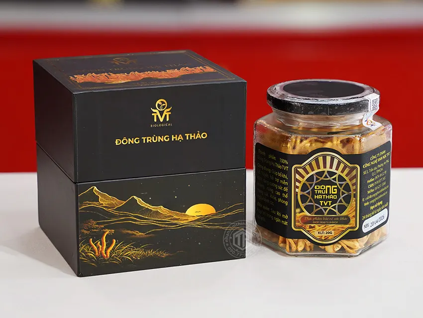 Đông Trùng Hạ Thảo Khô Việt Nam Hộp 20g