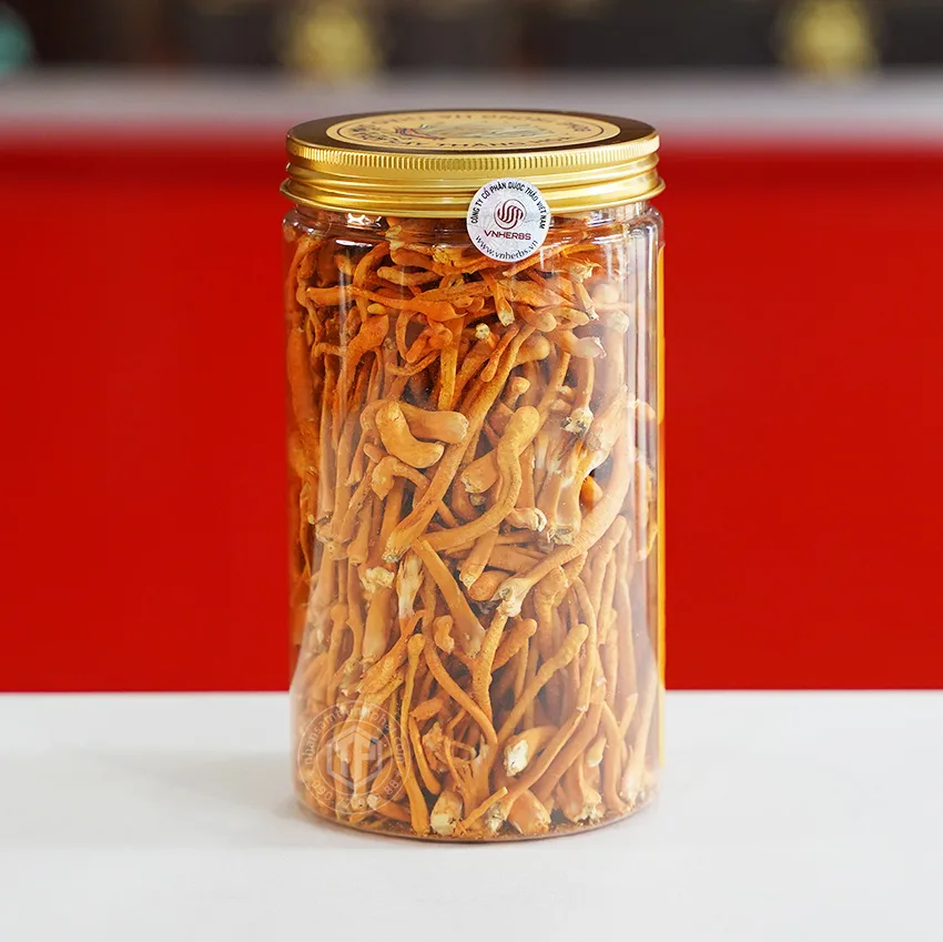 Nấm đông trùng hạ thảo sợi khô lọ 50g