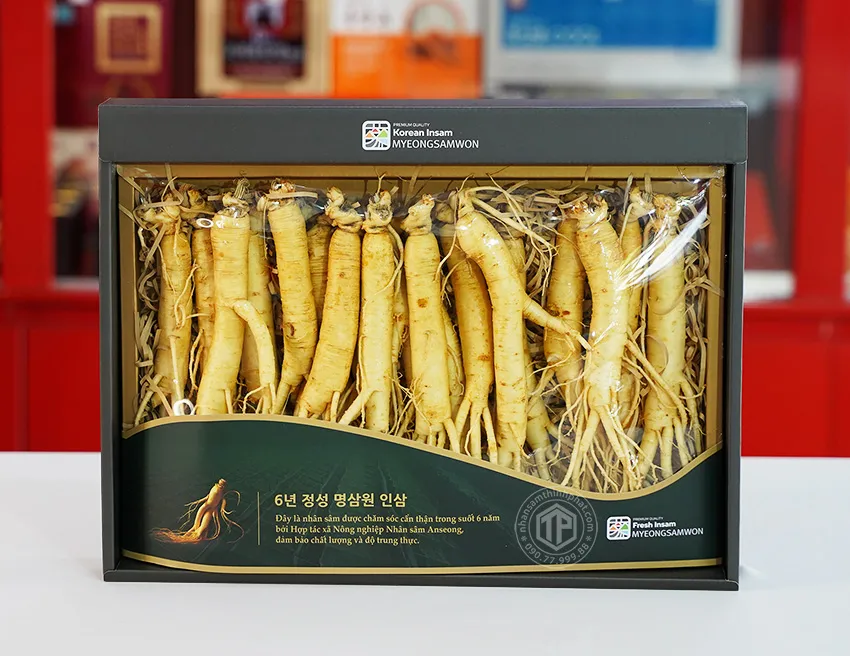 Nhân sâm tươi Hàn Quốc loại 1 nhập khẩu kg 20 củ Nhân sâm tươi Hàn Quốc loại 1 nhập khẩu kg 20 củ